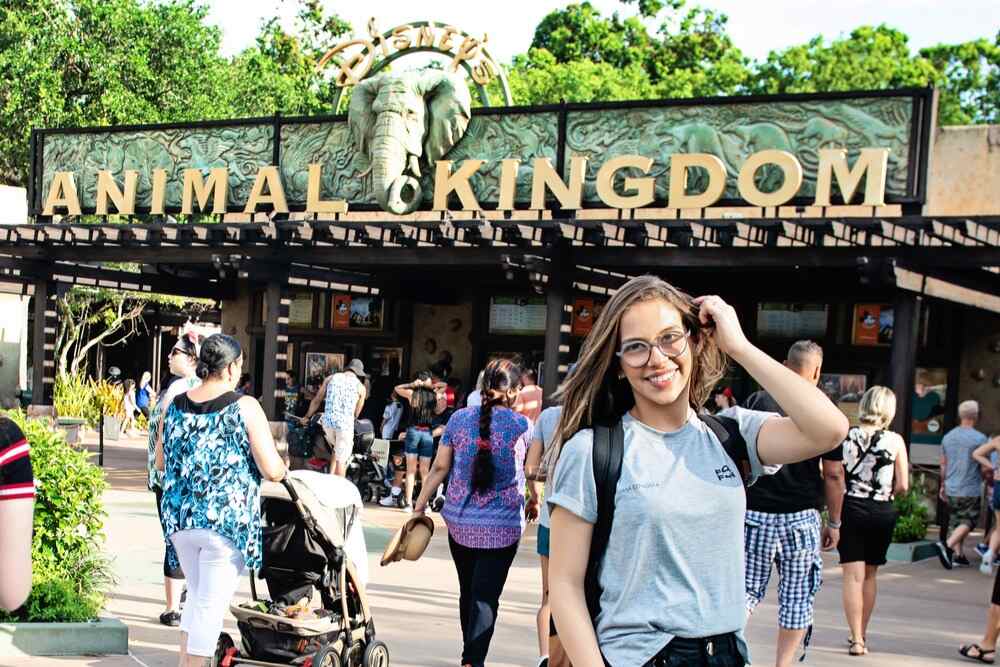 atrações animal kingdom