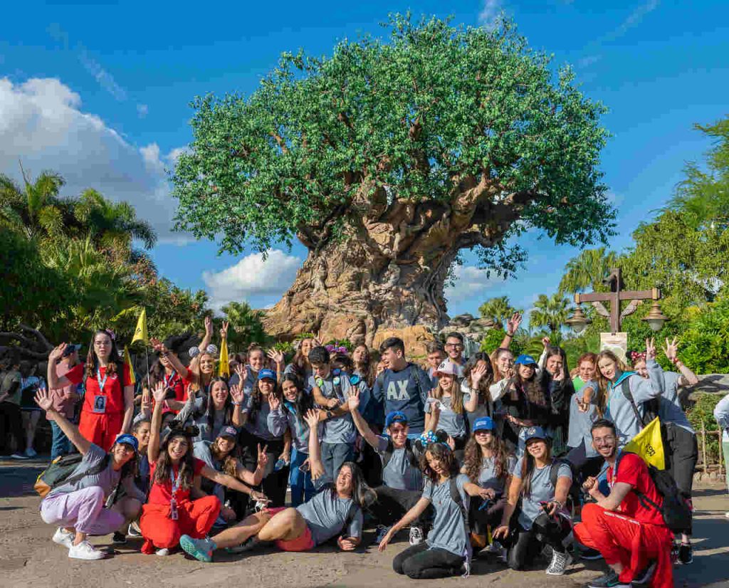 atrações animal kingdom pandora